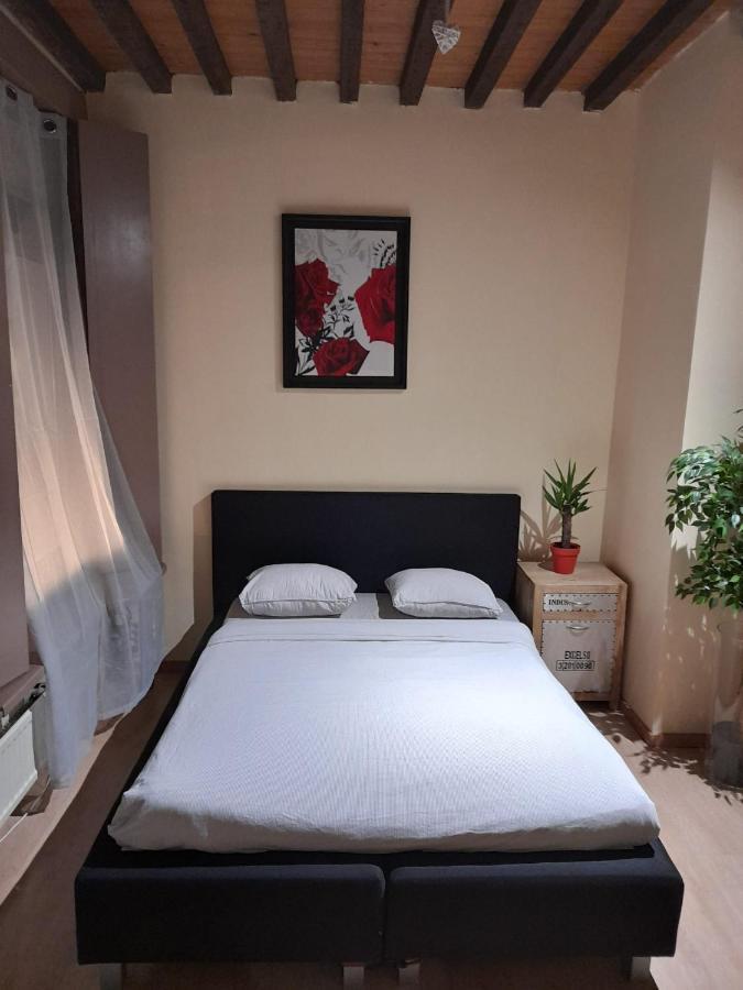 Cute,Cosy,Comfortable Studio In The Heart Of Antwerpen Apartment Екстериор снимка