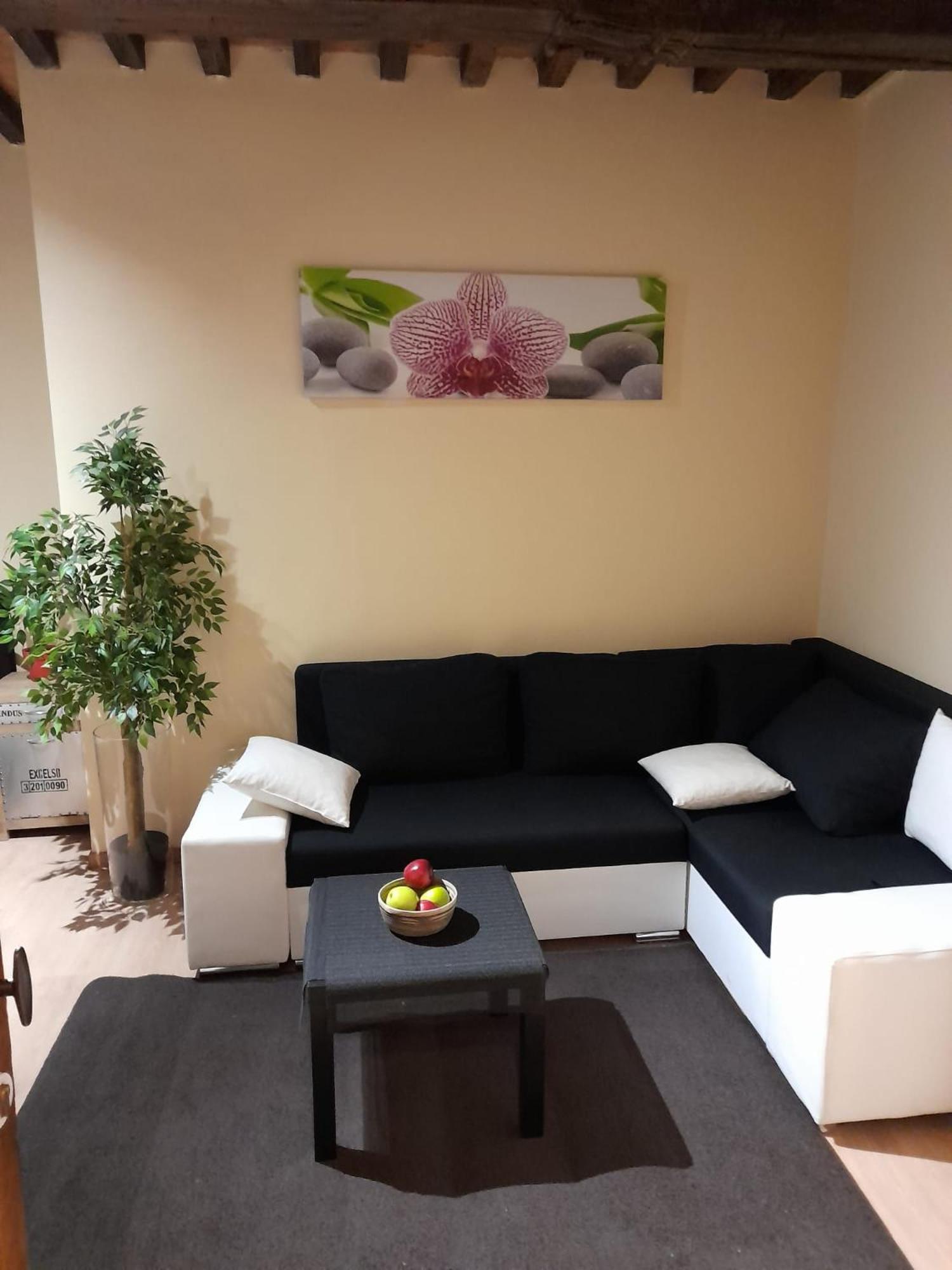 Cute,Cosy,Comfortable Studio In The Heart Of Antwerpen Apartment Екстериор снимка